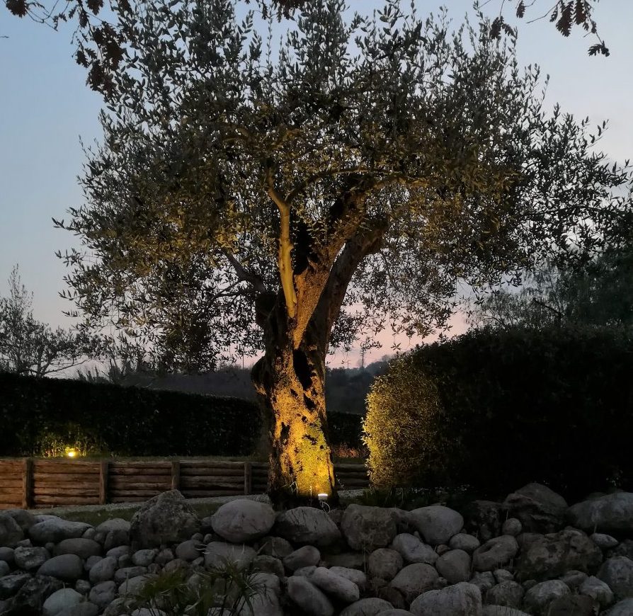Prezzi Faretti LED Esterno