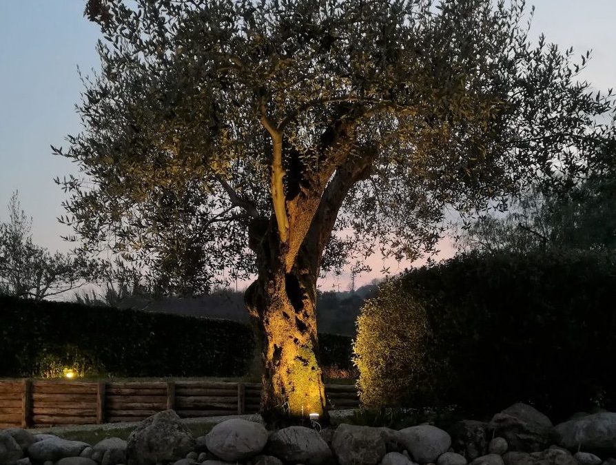 Prezzi Faretti LED Esterno